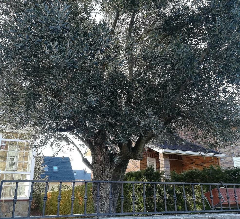 El Rincon De Alicia Villa Mataelpino Ngoại thất bức ảnh